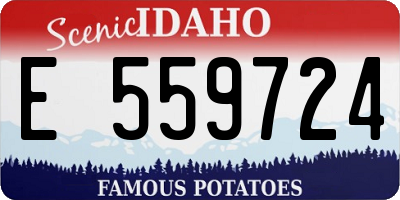 ID license plate E559724