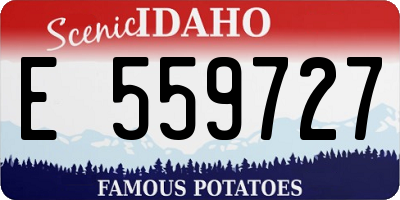 ID license plate E559727