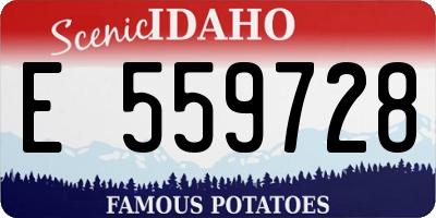 ID license plate E559728
