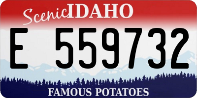 ID license plate E559732