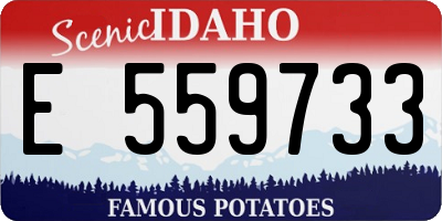 ID license plate E559733