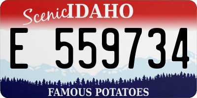 ID license plate E559734