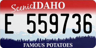 ID license plate E559736