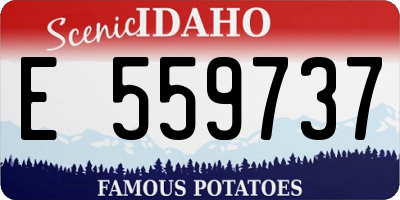 ID license plate E559737