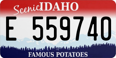 ID license plate E559740