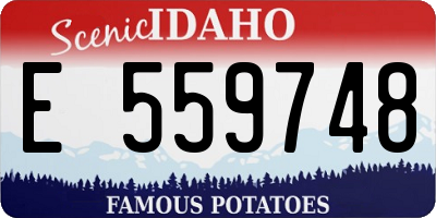 ID license plate E559748