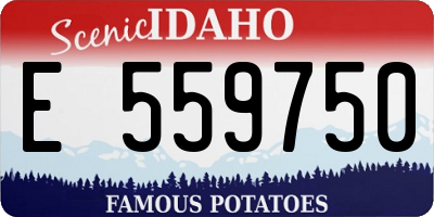 ID license plate E559750