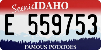 ID license plate E559753