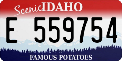 ID license plate E559754