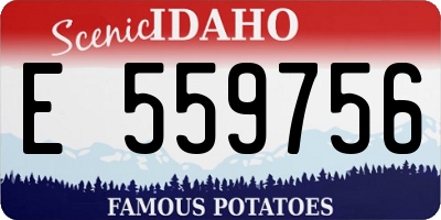 ID license plate E559756