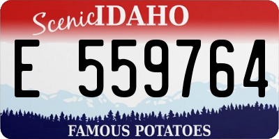 ID license plate E559764
