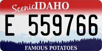 ID license plate E559766