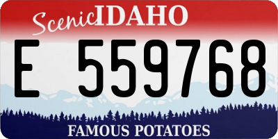 ID license plate E559768