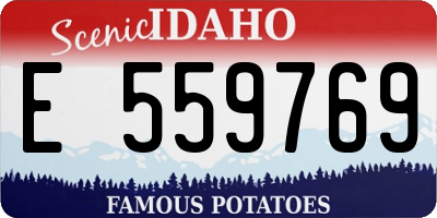 ID license plate E559769