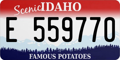 ID license plate E559770