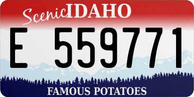 ID license plate E559771