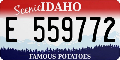 ID license plate E559772