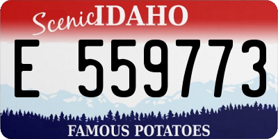 ID license plate E559773