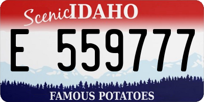 ID license plate E559777