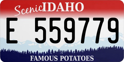 ID license plate E559779