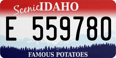 ID license plate E559780