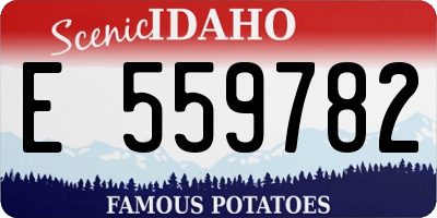 ID license plate E559782