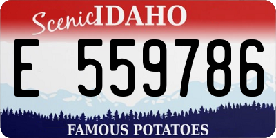 ID license plate E559786
