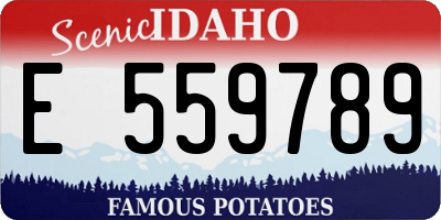 ID license plate E559789