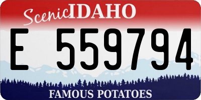ID license plate E559794