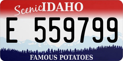 ID license plate E559799