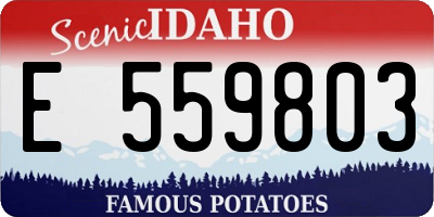 ID license plate E559803