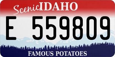 ID license plate E559809