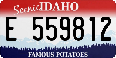 ID license plate E559812