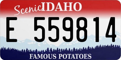 ID license plate E559814