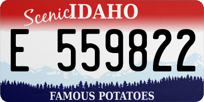 ID license plate E559822