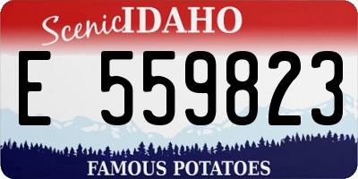 ID license plate E559823