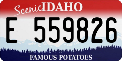 ID license plate E559826