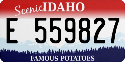 ID license plate E559827