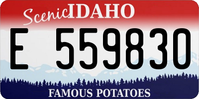 ID license plate E559830