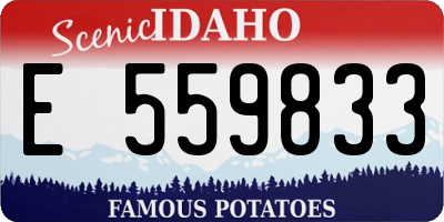 ID license plate E559833