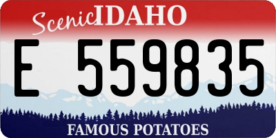 ID license plate E559835