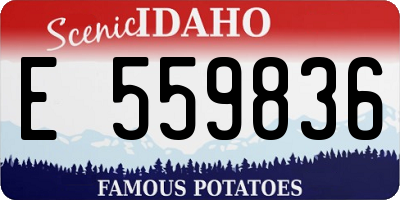 ID license plate E559836