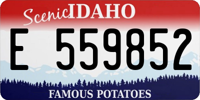 ID license plate E559852