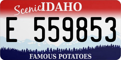ID license plate E559853