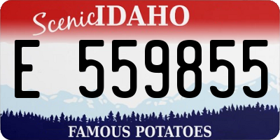 ID license plate E559855