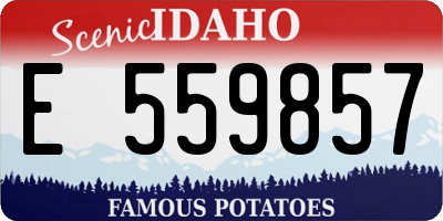 ID license plate E559857