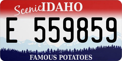 ID license plate E559859