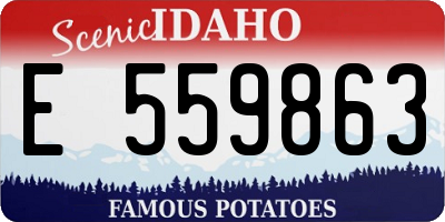 ID license plate E559863
