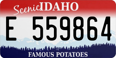 ID license plate E559864