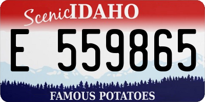 ID license plate E559865